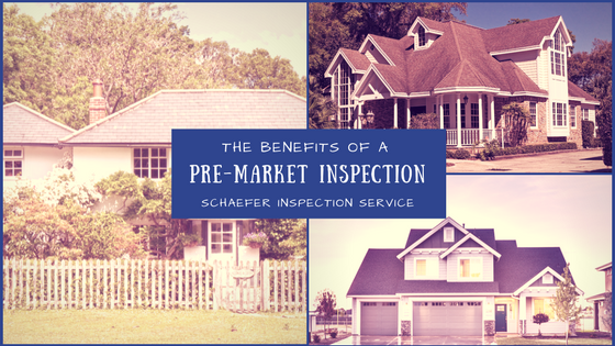 pre-market inspection BLOG graphic